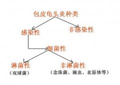 龟头炎产生危害有多大