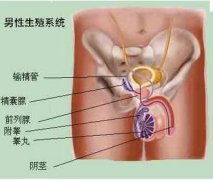 射精障碍能预防