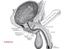 邢台现代医院治疗阳痿的方法介绍